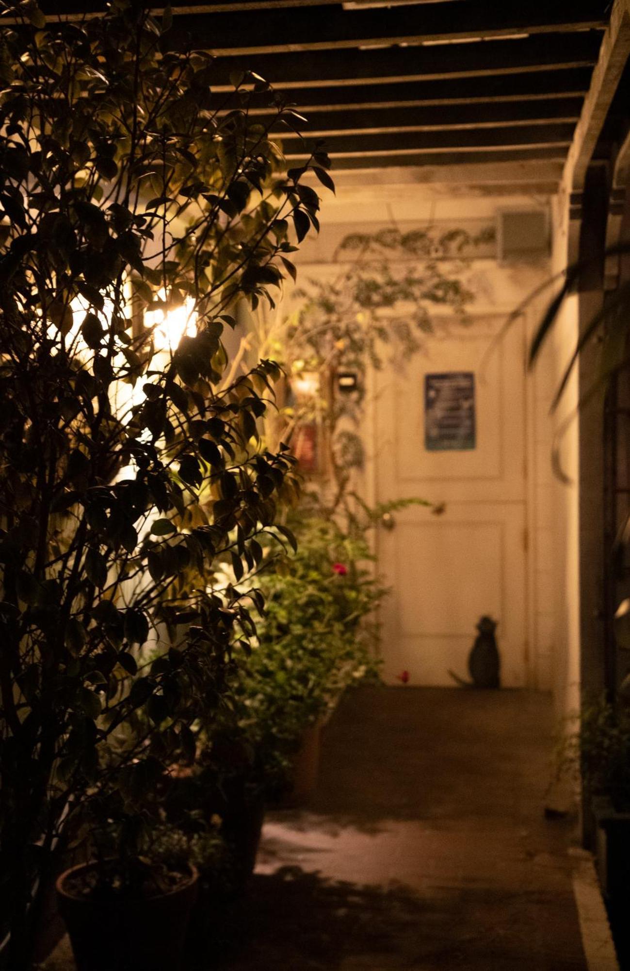Carmel Garden Inn Bagian luar foto