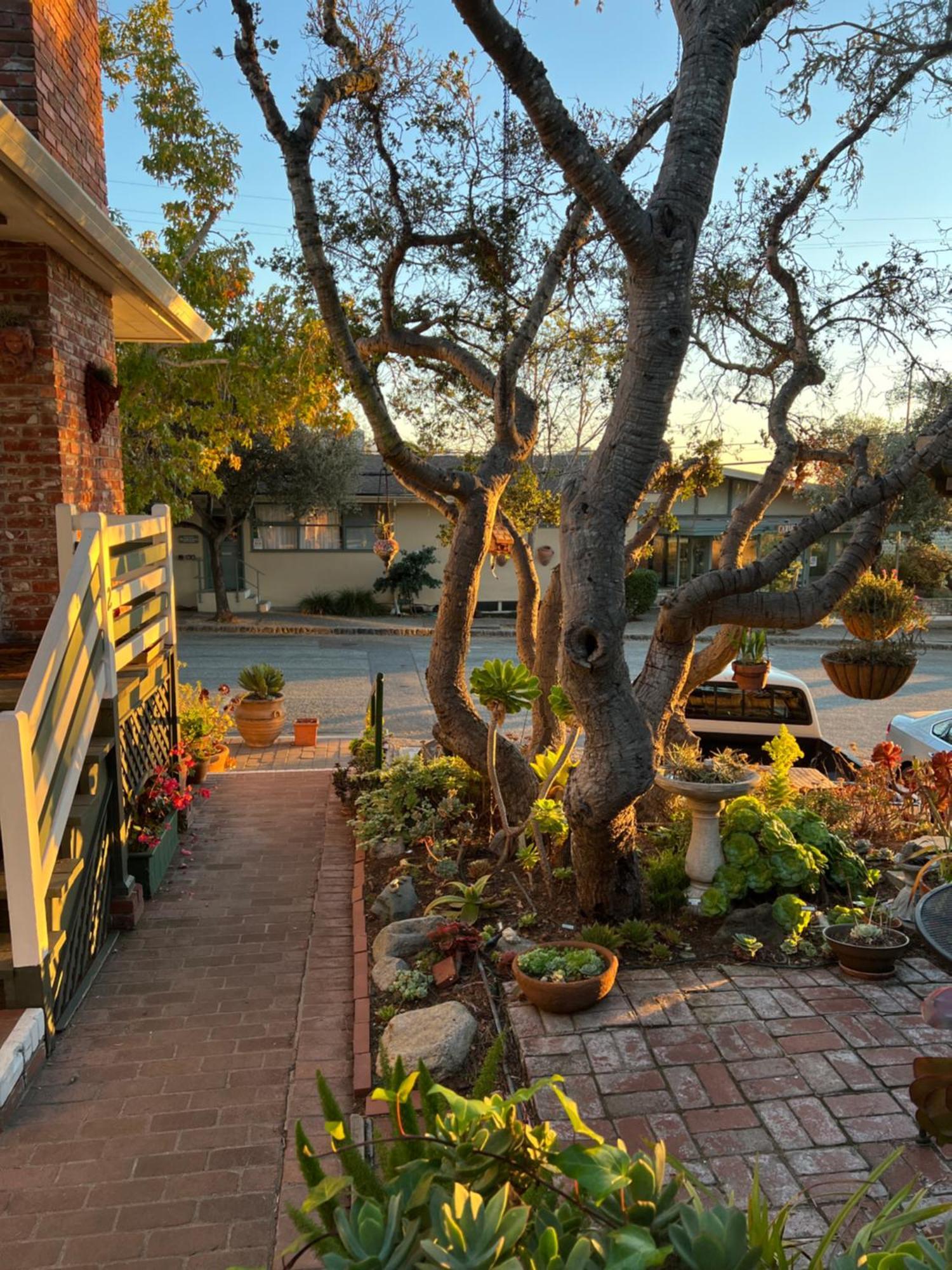 Carmel Garden Inn Bagian luar foto